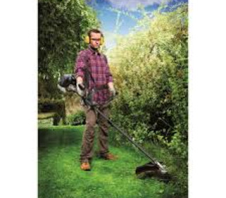 letoltes-2024-11-25t183920333.jfif